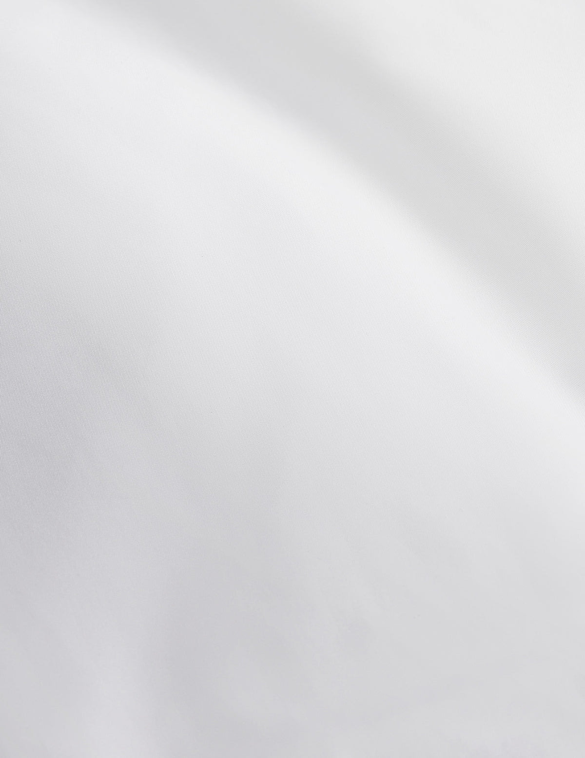 Chemise semi-ajustée blanche