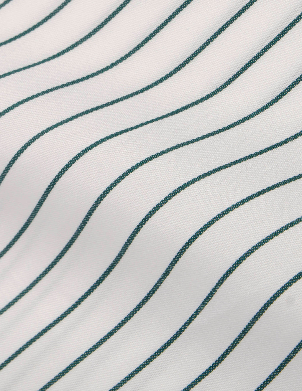 Chemise Carl rayée verte