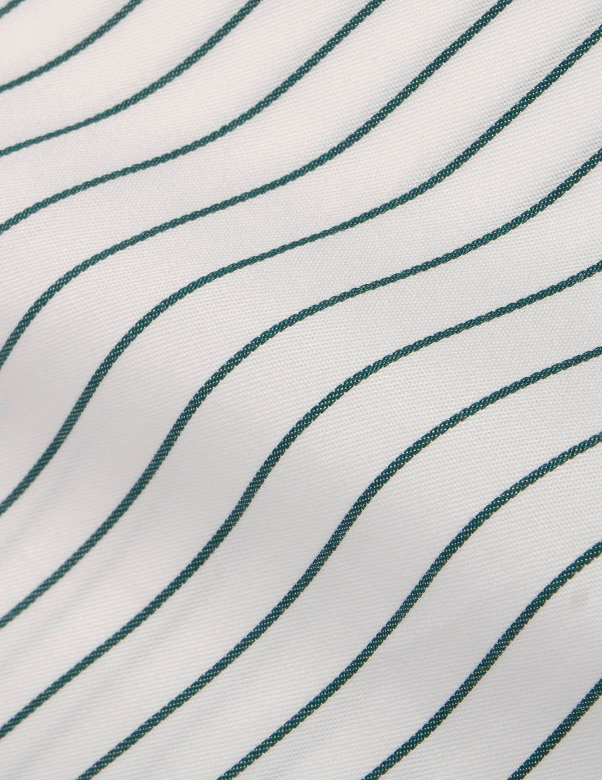 Chemise Carl rayée verte